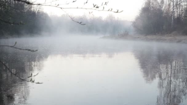 Frühmorgens auf dem nebligen Fluss im Frühling in Nordeuropa — Stockvideo