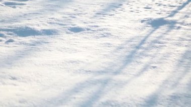 Kış park güneşli bir sabah.