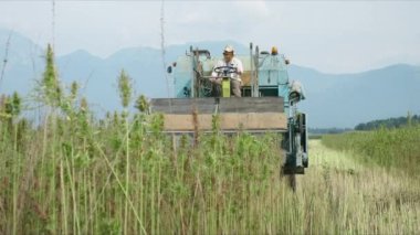 Kenevir hasadını birleştir