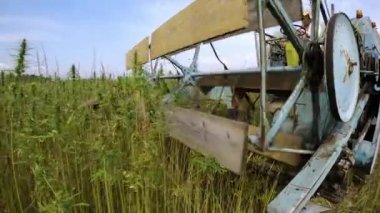 Esrar hasadını birleştirme