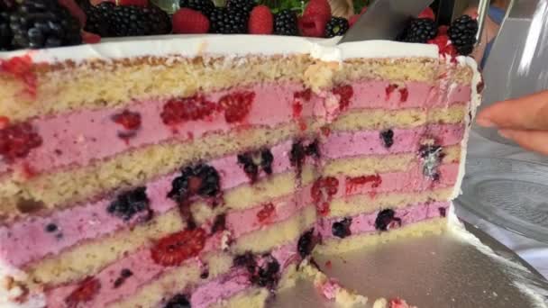 Cortar pastel de cumpleaños — Vídeo de stock