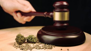 Cannabis and judges gavel clipart