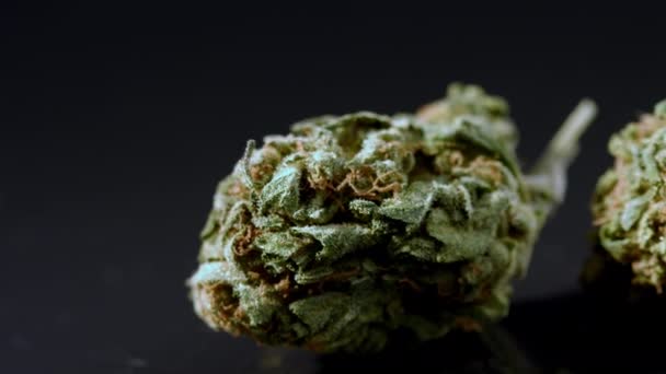 Botões de cannabis no fundo preto — Vídeo de Stock
