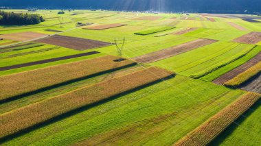 Alanların havadan görünümü