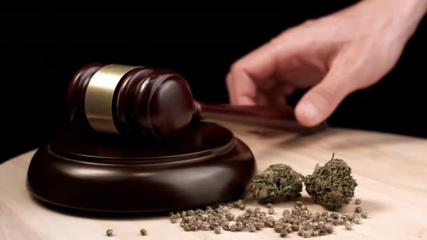 Cannabis und Richter sticheln — Stockvideo