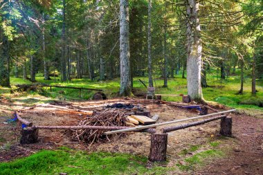 Ormanda şenlik ateşi.
