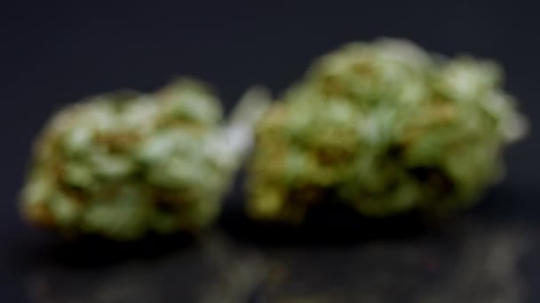 Cannabis knoppen op zwarte achtergrond — Stockvideo