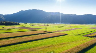 Alanların havadan görünümü