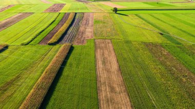 Alanların havadan görünümü