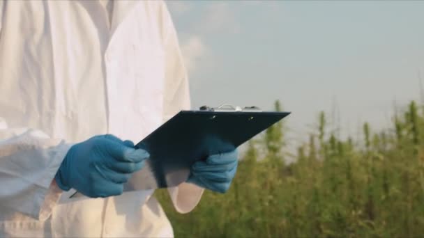 大麻田的科学家 — 图库视频影像
