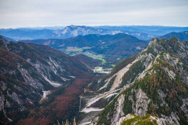 Güzel sonbahar ormanı