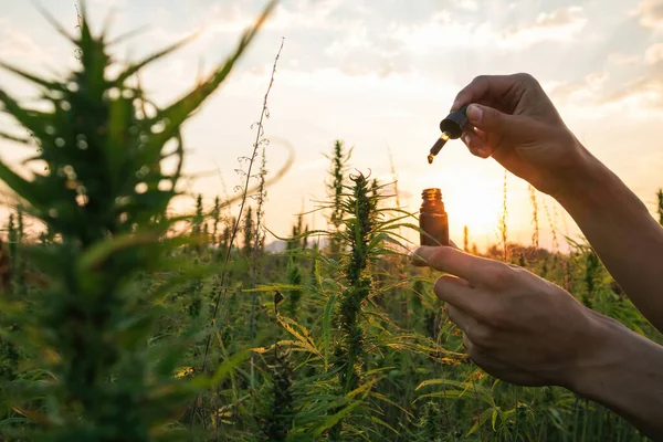 Человек держит бутылку масла Cbd — стоковое фото