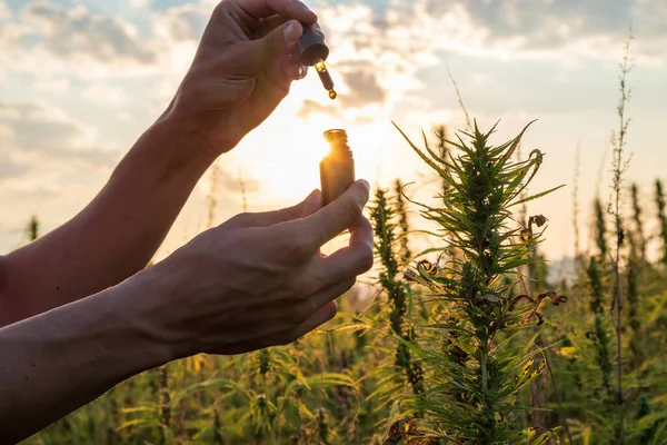 Homem segurando garrafa de óleo Cbd — Fotografia de Stock