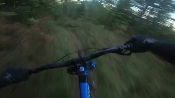 Ciclismo de montaña cuesta abajo — Vídeos de Stock