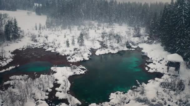 Luchtfoto van een winter met meer. — Stockvideo
