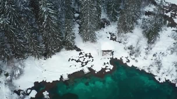 Vista aérea de un invierno con lago. — Vídeo de stock