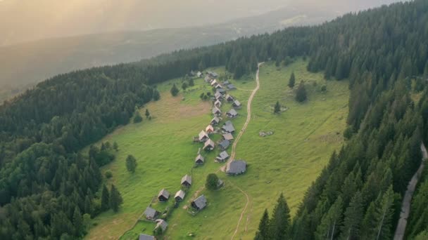 Zajamniki op een plateau Pokljuka in de Sloveense Alpen — Stockvideo