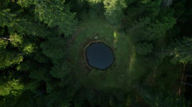 Ormanda küçük bir göl