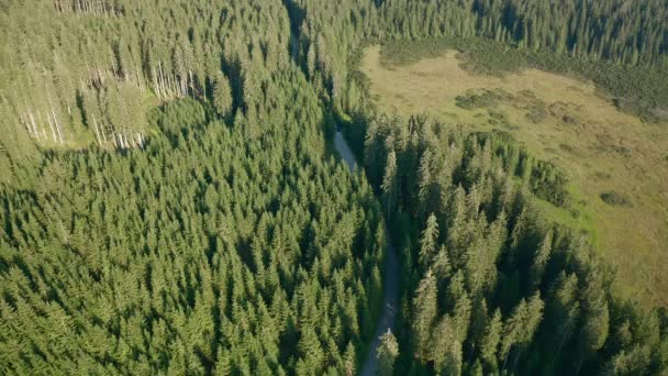 Vista aérea da estrada de montanha — Vídeo de Stock