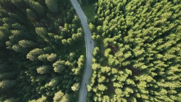 Vista aérea da estrada de montanha — Vídeo de Stock