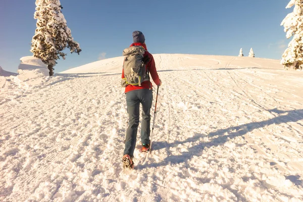 在雪山中远足的女人 — 图库照片
