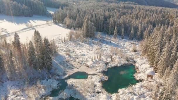 Réserve naturelle Zelenci à Kranjska Gora, Slovénie — Video
