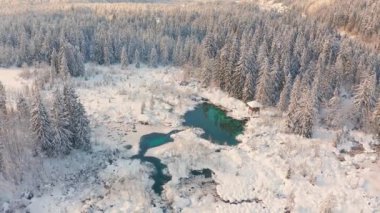 Slovenya 'nın Kranjska Gora kentinde Doğa Rezervi Zelenci
