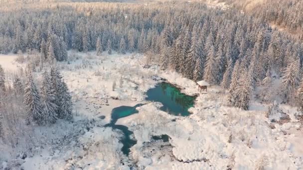 Réserve naturelle Zelenci à Kranjska Gora, Slovénie — Video