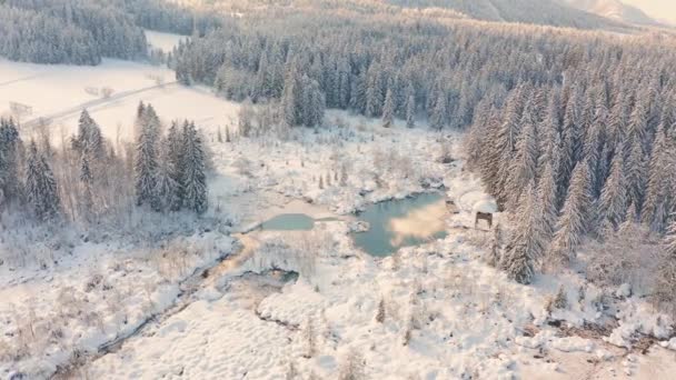 Réserve naturelle Zelenci à Kranjska Gora, Slovénie — Video