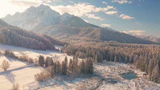 Réserve naturelle Zelenci à Kranjska Gora, Slovénie — Video