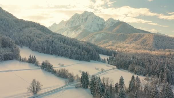Ski Jump Planica in de winter in Slovenië — Stockvideo
