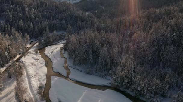 雪の森と山の空中撮影 — ストック動画