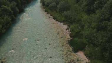 Nehir ve ormanın havadan görünüşü