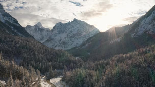 Luchtfoto van besneeuwd bos en bergen — Stockvideo