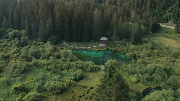 Uitzicht vanuit de lucht op het meer in een bos — Stockvideo