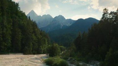 Nehir ve ormanın havadan görünüşü