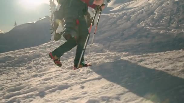 Femme randonnée dans les montagnes enneigées — Video