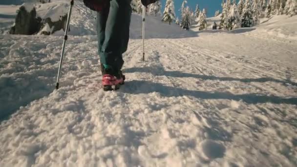 Жінка ходить по засніжених горах — стокове відео