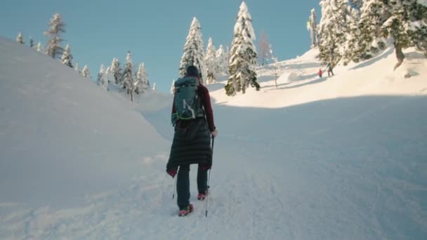 Γυναίκα ορειβασία στα χιονισμένα βουνά — Αρχείο Βίντεο