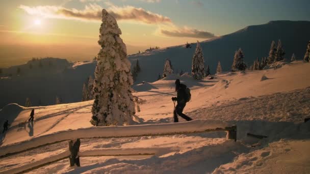 Femme randonnée dans le clair de lune enneigé au coucher du soleil — Video