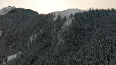 Dağlardaki karlı hava ormanı