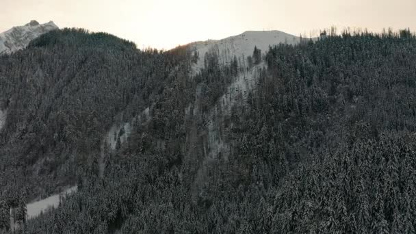 Snowy luchtbos in de bergen — Stockvideo