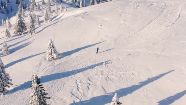 Mulher caminhando nas montanhas nevadas — Vídeo de Stock