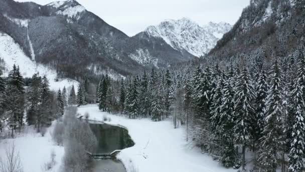 Зимовий ліс з річкою і горами Стокове Відео 