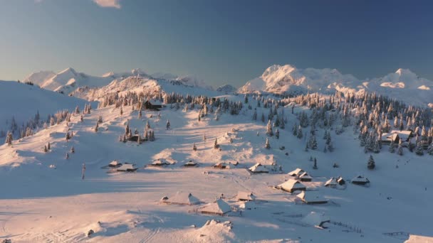 Widok z lotu ptaka pokrytych śniegiem gór i lasów świerkowych — Wideo stockowe