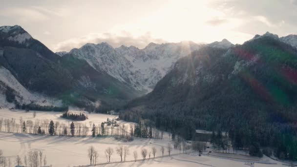 Paisagem de inverno na neve — Vídeo de Stock