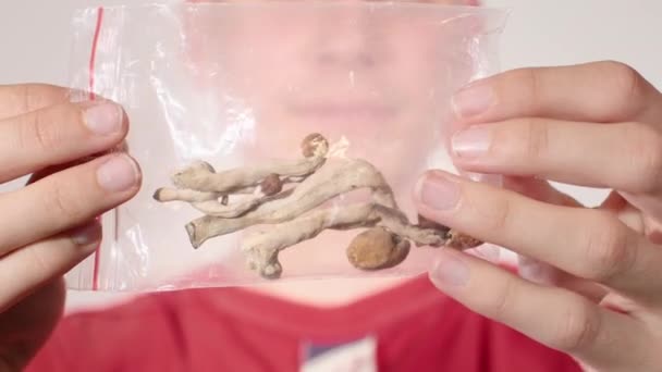 마이크 로 파는 마술의 버섯 — 비디오