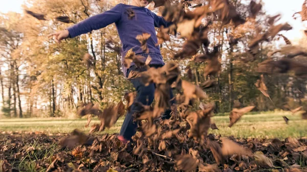Golpeando montón de hojas secas — Foto de Stock