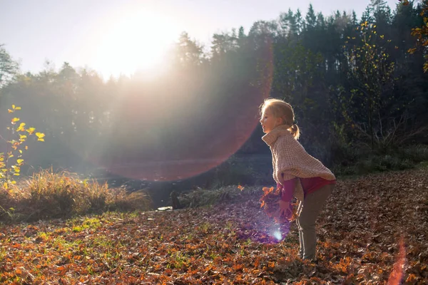 Ребенок бросает сухие листья осенью — стоковое фото