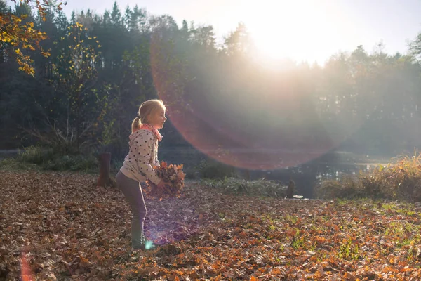 Niño lanzando hojas secas en otoño —  Fotos de Stock